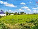 - ขายที่ดิน 3 ไร่ ติดถนน ใกล้ที่ทำการการไฟฟ้าภูมิภาค หนองหญ้าไซ สุพรรณบุรี แปลงสวย