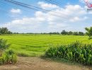 - ขายที่ดิน 3 ไร่ ติดถนน ใกล้ที่ทำการการไฟฟ้าภูมิภาค หนองหญ้าไซ สุพรรณบุรี แปลงสวย