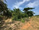- ขาย ที่ดิน สถานที่ใกล้ อุทยานแห่งชาติกุยบุรี ทะเลอ่าวประจวบ , อ่าวมะนาว 18,000,000 บาท