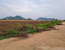- ขายที่ดินคลองกิ่ว บ้านบึง ชลบุรี แปลงสวย ทำเลดี ติด WHA 2.1 FP-L02079