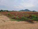- ขายที่ดินคลองกิ่ว บ้านบึง ชลบุรี แปลงสวย ทำเลดี ติด WHA 2.1 FP-L02079