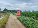 - ขายที่ดินเปล่าจังหวัดพรชบูรณ์ ต.ห้วยโป่ง อ.หนองไผ่ วิวภูเขา
