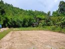  - ขายที่ดินติดภูเขา บ่อวิน ศรีราชา วิวธรรมชาติส ใกล้โรบินสันไลฟ์สไตล์บ่อวิน TP-L2200