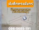 - ขายตึกเยาวราช 2 ชั้น 83 วา. 41ล้าน ราคาต่ำกว่าประเมิน