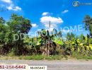 - ที่ดินวังน้อย 58 ตร.ว. พระนครศรีอยุธยา ใกล้ตลาดวังน้อยเมืองใหม่