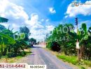 - ที่ดินวังน้อย 58 ตร.ว. พระนครศรีอยุธยา ใกล้ตลาดวังน้อยเมืองใหม่