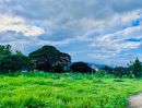 - ขายที่ดินตำบลแม่เหียะติดถนนคอนกรีต วิวสวยโฉนดพร้อมโอน
