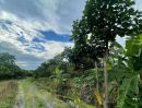 - ขายสวนลำใยห่างกาดฝรั่งเพียง 200เมตรโฉนดพร้อมโอน