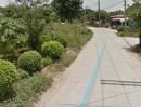 - สนใจเช่าที่ดิน 1 ไร่ 1 งาน บ้านหนองกรด อ.เมือง จ.นครสวรรค์