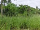  - ที่ดินสวยใกล้ท่าเรือแหลมฉบังชลบุรี ถมแล้ว สวยงาม 5 ไร่ 2 งาน