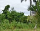  - ที่ดินสวยใกล้ท่าเรือแหลมฉบังชลบุรี ถมแล้ว สวยงาม 5 ไร่ 2 งาน