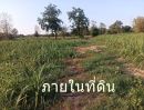  - ขายที่ดิน 200 ตรว ต.กุดกว้าง อ.หนองเรือ ขอนแก่นห่างถนนใหญ่ 2 กม ขาย 1.5 แสน