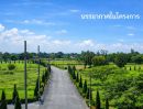- ขายที่ดินแปลงสวยในโครงการ The Nature Home Chiangmai