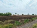 - ที่ดินติดถนน ต.ดอนดึง อ.บ้านหมี่ จ.ลพบุรี