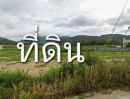 - ขายที่ดิน ต.เขาคันทรง อ.ศรีราชา จังหวัดชลบุรี