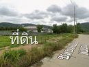 - ขายที่ดิน ต.เขาคันทรง อ.ศรีราชา จังหวัดชลบุรี