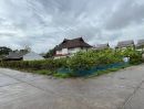  - ขายที่ดินบ้านสวนฝรั่งตำบลหนองจ๊อมสันทรายพร้อมโอน