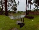 - ที่ดินติดแม่น้ำเพชรบุรี อ.ท่ายาง จะ.เพชรบุรี.