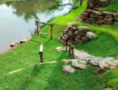 - ที่ดินติดแม่น้ำเพชรบุรี อ.ท่ายาง จะ.เพชรบุรี.