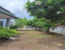  - ให้เช่าบ้านเดี่ยว บางพระ ศรีราชา 4 ห้องนอน ใกล้เซ็นทรัล ศรีราชา TP-H2291