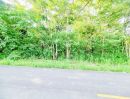 - ที่ดินรูปแปลงสวย 2แปลง พื้นดินสูงเท่าถนน ติดถนนเส้นหลัก น้ำ-ไฟถึง บรรยากาศดีมาก ใกล้แหล่งท่องเที่ยว อ.เวียงเก่า ขอนแก่น