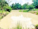 - บ้านสวนพร้อมเรือนไทยอิสาน ต้นไม้ใหญ่กว่าพันต้นอายุเกือบ 20ปี ติดบึงหนองดู่แค่ถนนกั้น เงียบสงบ บรรยากาศดีมาก ใกล้แหล่งท่องเที่ยว อ.เวียงเก่า ขอนแก่น