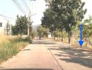 - ขายที่ดินถนนข้าวหลาม เนื้อที่ 4ไร่หลังปั้ม ปตท.ถนนข้าวหลาม ห่างถนนข้าวหลาม 400เมตร ที่ดินวิวภูเขา เข้า-ออก 2ทาง ที่ดินหน้ากว้าง 50เมตร