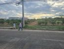 - ขายที่ดินพร้อมต้นมะม่วง 200 ต้น ต.สมอแข อ.เมือง จ.พิษณุโลก