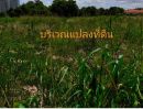 - ขายที่ดินแปลงสวยทำเลดี ทำเลที่พร้อมพร้อมเติบโตตามเศรษฐกิจ บนพื้นที่สีส้ม 19ไร่ 2 งาน อ.บ้านฉาง จ.ระยอง