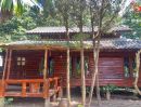 - ขายรีสอร์ท ต.ทุ่งยาว อ.ปาย แม่ฮ่องสอน เนื้อที่ 4 ไร่เศษ พร้อมบ้านพักไม้สักทอง 5หลัง ใกล้แหล่งท่องเที่ยว