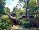 - ขายรีสอร์ท ต.ทุ่งยาว อ.ปาย แม่ฮ่องสอน เนื้อที่ 4 ไร่เศษ พร้อมบ้านพักไม้สักทอง 5หลัง ใกล้แหล่งท่องเที่ยว