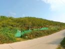 - ขายสวนส้มบ้านห้วยเดื่ิอแม่ข่าฝางดินดีผลผลิตงามพร้อมโอน