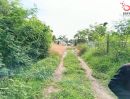 - ขายที่ดิน 196 ตร.ว. ถ.ติวานนท์ สุขาประชาสรรค์ 3 ปากเกร็ด นนทบุรี แปลงสวย ทำเลดี