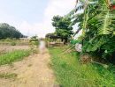 - ขายที่ดิน 196 ตร.ว. ถ.ติวานนท์ สุขาประชาสรรค์ 3 ปากเกร็ด นนทบุรี แปลงสวย ทำเลดี