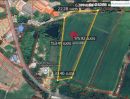  - ขายที่ดิน5ไร่ 2.5ล.โคกไทย ศรีมโหสถ ปราจีนบุรี ที่ดินทุ่งนา 5ไร่36ว. ลด 2.5ล. ใกล้ถนนสุวินทวงศ์ ตลาดสระข่อย ต.โคกไทย อ.ศรีมโหสถ ปราจีนบุรี