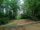 - ขายที่ดินติดลำธารน้ำติดถนนคอนกรีตโฉนดพร้อมโอน