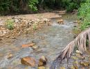 - ขายที่ดินติดลำธารน้ำติดถนนคอนกรีตโฉนดพร้อมโอน