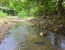 - ขายที่ดินติดลำธารน้ำติดถนนคอนกรีตโฉนดพร้อมโอน