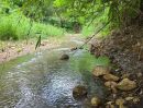 - ขายที่ดินติดลำธารน้ำติดถนนคอนกรีตโฉนดพร้อมโอน