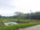 - ประกาศขายที่ดินเปล่า ต.สวนแตง อ.ละแม จ.ชุมพร