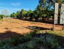  - ขายที่ดินศักยภาพสูง ใจกลางเมืองพัทยา (Prime Land for Development in Central Pattaya)