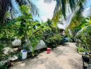 - ขายที่ดินแถมบ้าน เพชรเกษม 64 โครงการเรืองอนันต์ ภาษีเจริญ 173 ตรว. หลังบ้านติดคลองธรรมชาติ