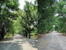  - ขายที่ดินคุณภาพพิกัดถนนลำลูกกาคลอง 13 เขต พืชอุดม