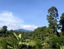 - ที่ดินสวยวิวเขาวิวบึงน้ำเหมาะ พูลวิลล่า คาเฟ่ รีสอร์ท 5 ไร่ หินตั้ง นครนายก