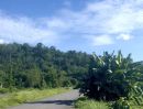 - ที่ดินสวยวิวเขาวิวบึงน้ำเหมาะ พูลวิลล่า คาเฟ่ รีสอร์ท 5 ไร่ หินตั้ง นครนายก