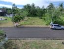 - ขายที่ดิน จัดสรร 120 ตรว. โครงการบ้านเนินน้ำ แวดล้อมด้วยธรรมชาติ เหมาะสร้างบ้านพัก ตะเคียนเตี้ย บางละมุง