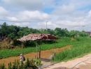  - ขายที่ดินติดถนนค้าขายได้ตำบลหนองแฝกสารภีพร้อมโอน