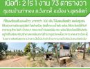  - ที่ดินพร้อมสวนมะพร้าวน้ำหอม เเหล่งชุมชน ใช้ทำบ้านสวย โฉนดพร้อมโอน