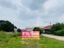 - ขายที่ดินวปอกระทุ่มแบนผังม่วง ที่ดินท่าไม้กระทุ่มแบน ที่ดินอ้อมน้อย