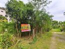 - ขายที่ดินนนทบุรีบางบัวทองราคาถูกทำเลดีมาก